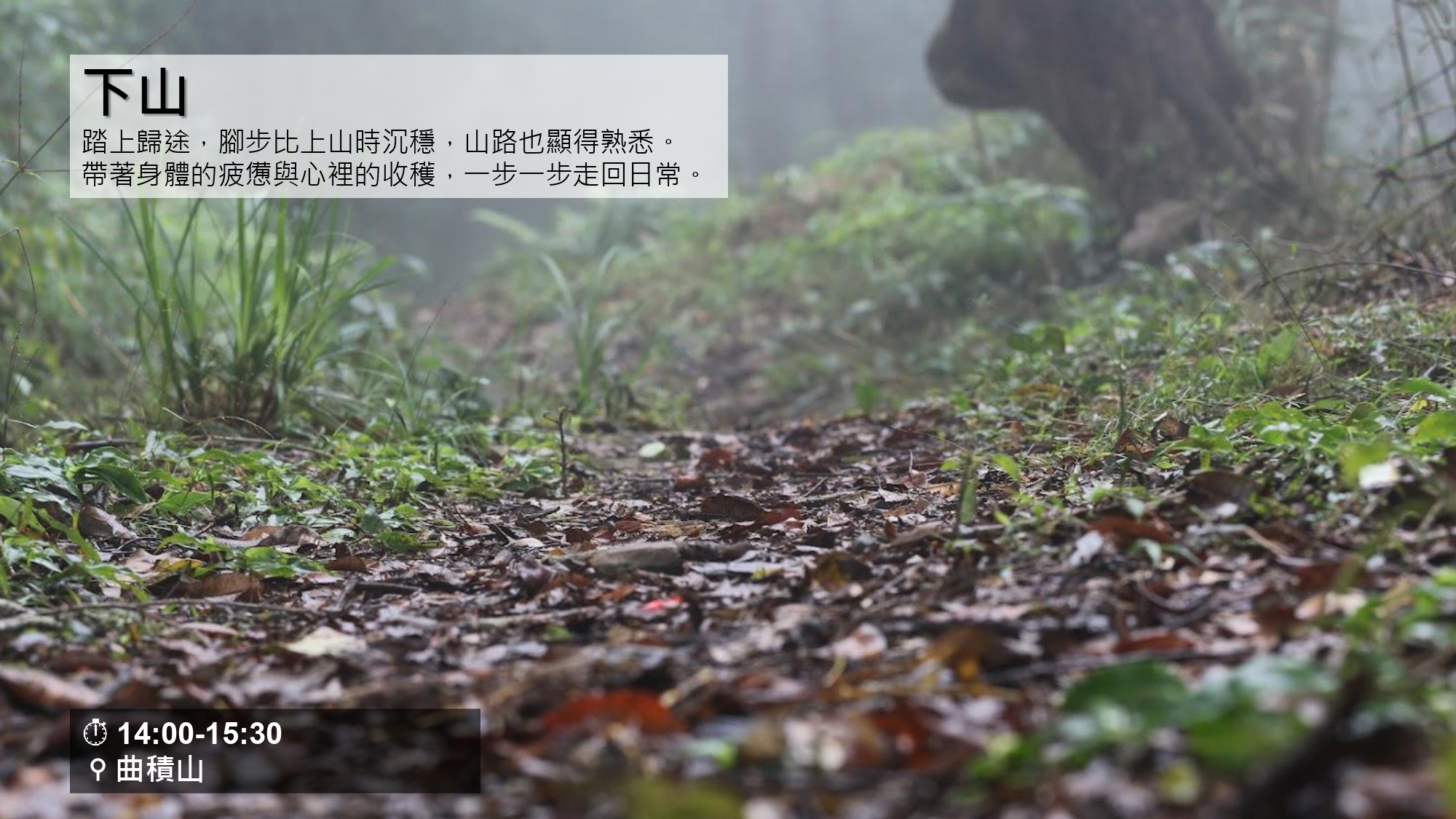 無螫蜂生態導覽